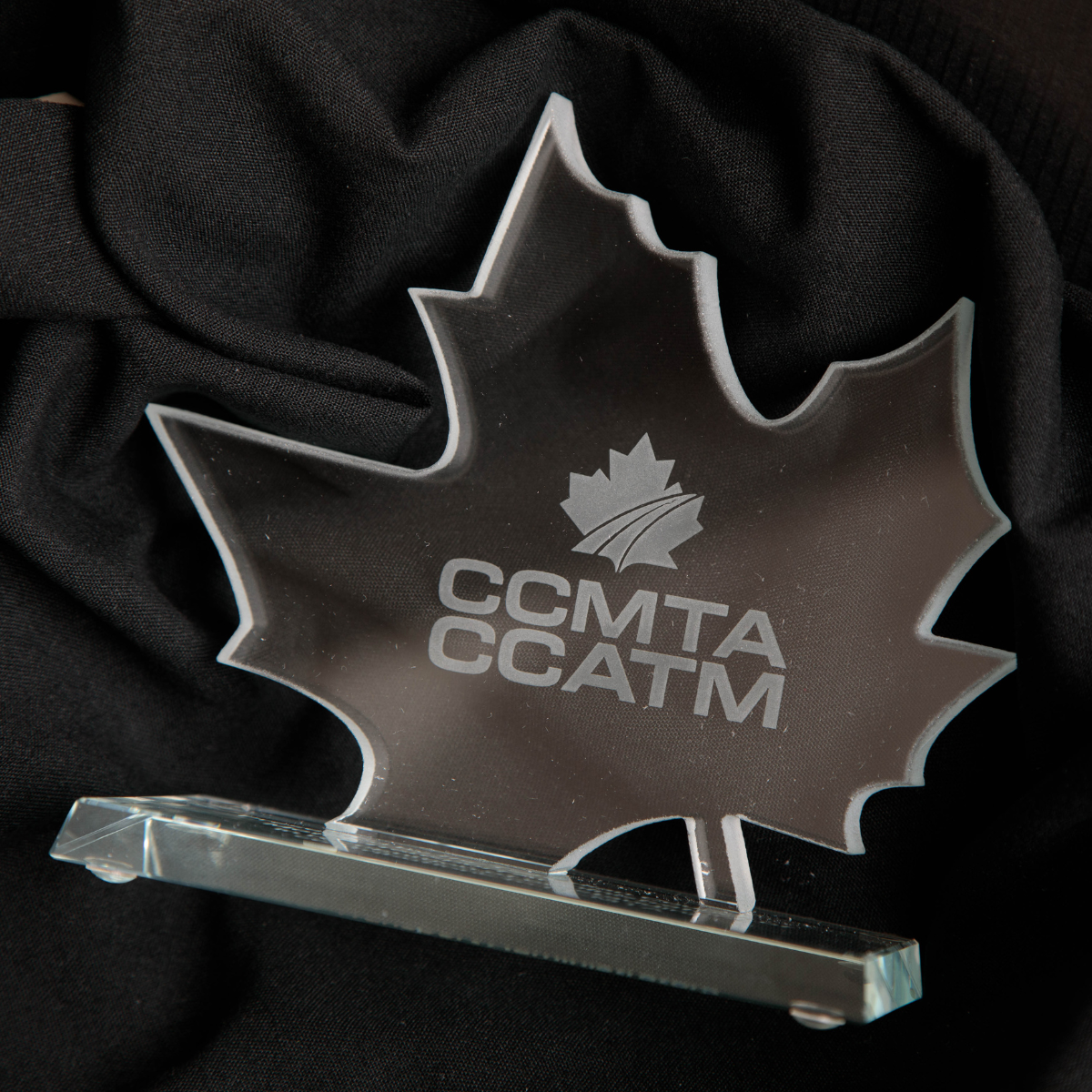 Congratulations to CCMTA's 2026 Award and Service Recognition Recipients